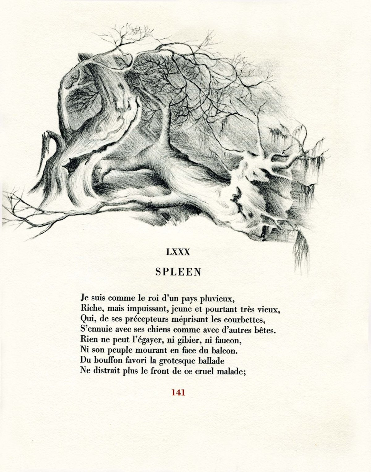 Pagina 45