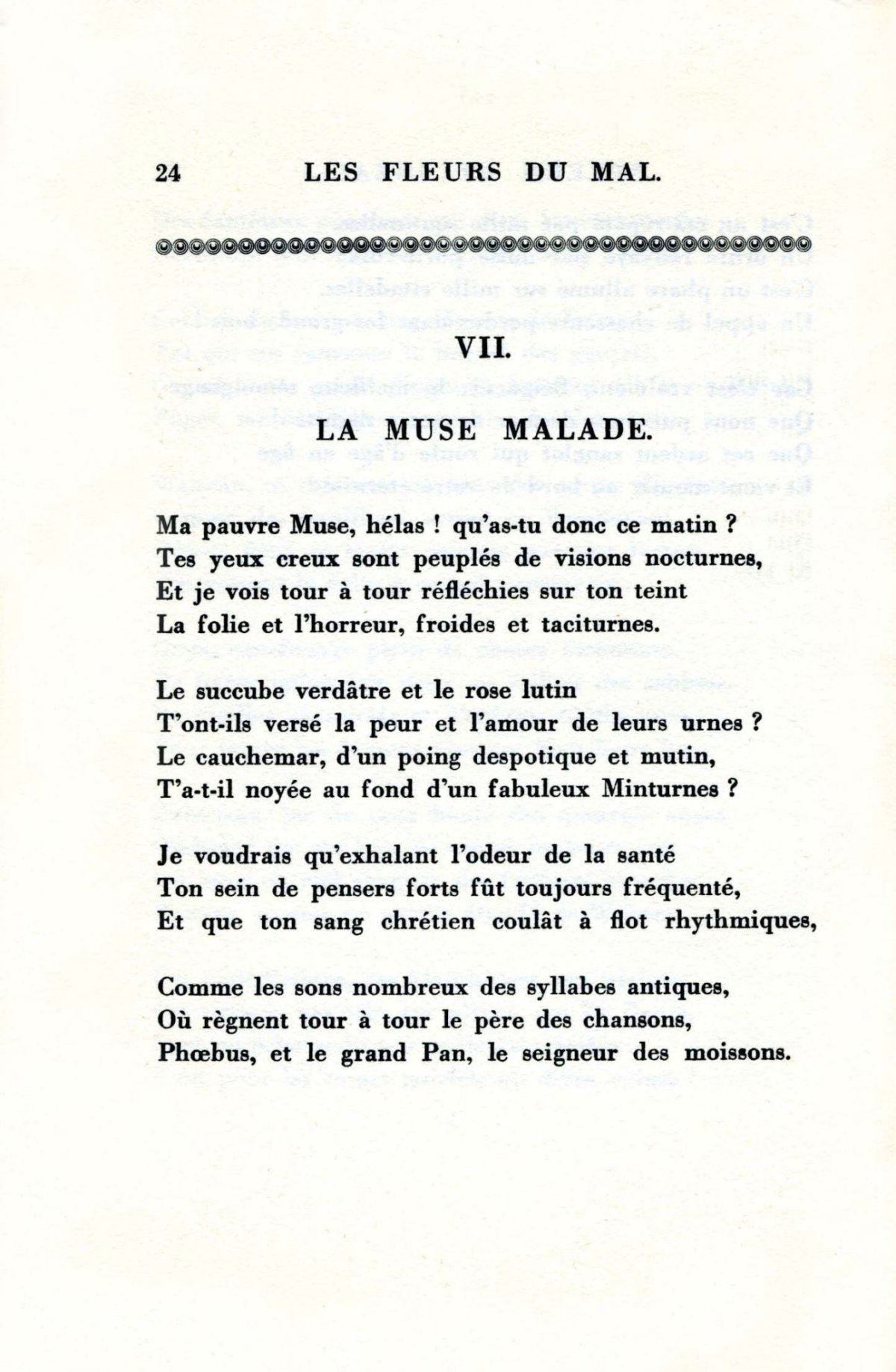 Pagina 6