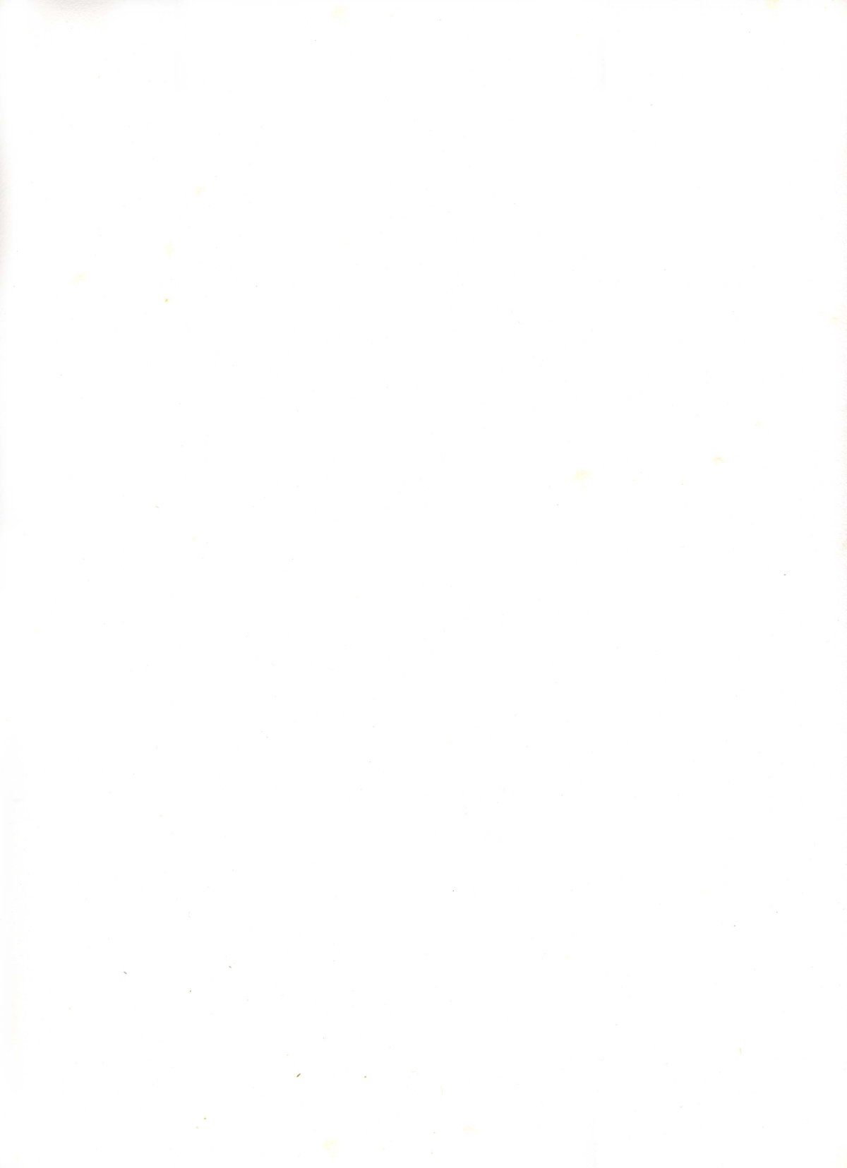 Pagina 26