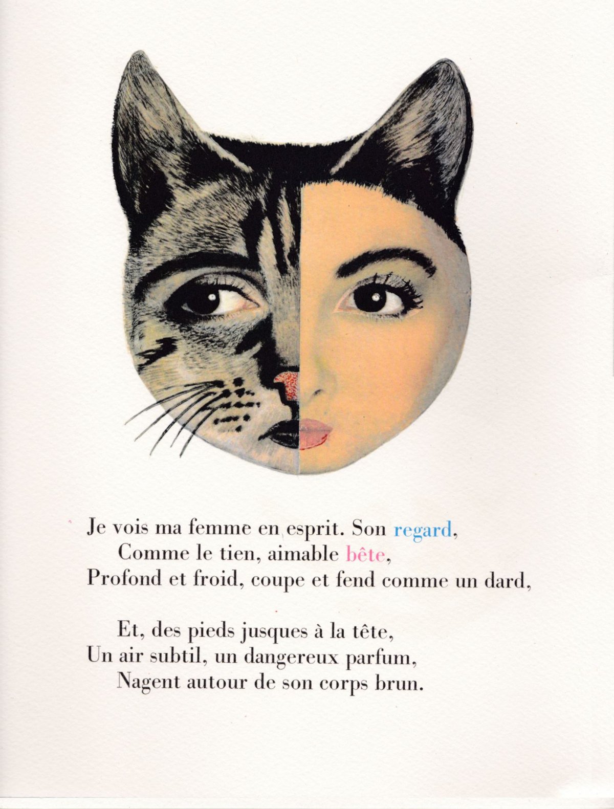 Pagina 13