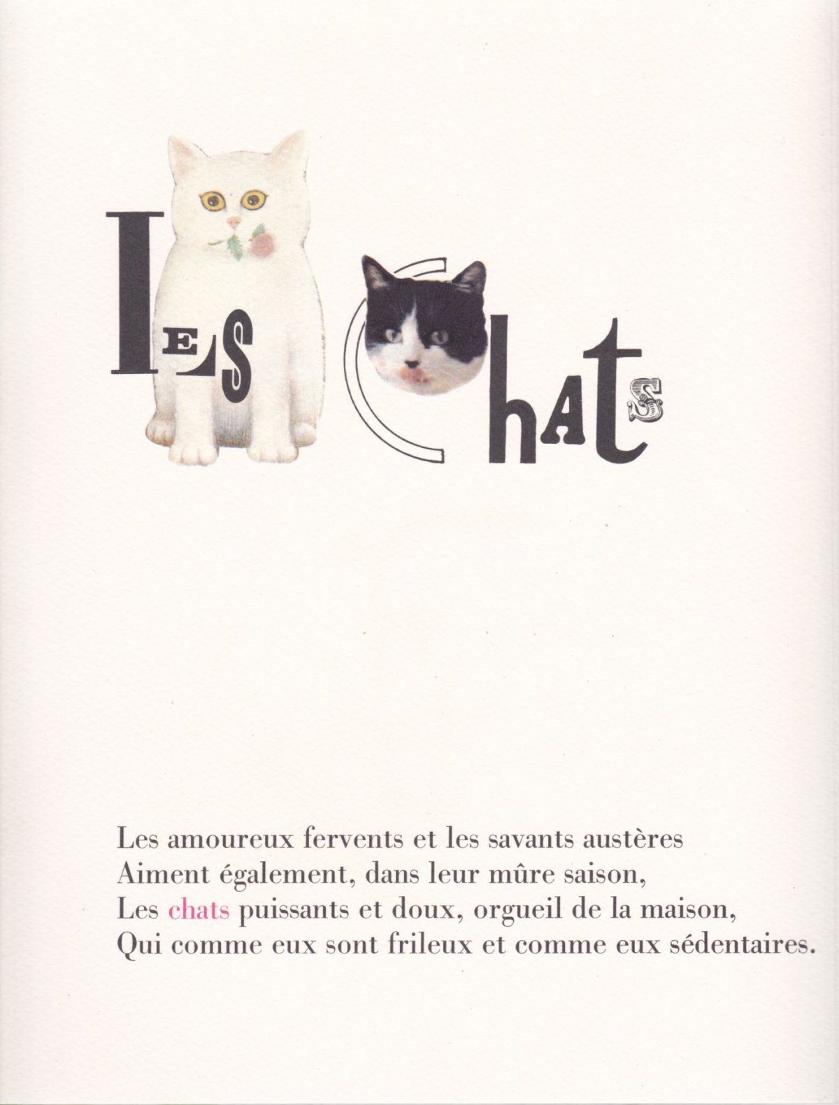 Pagina 14