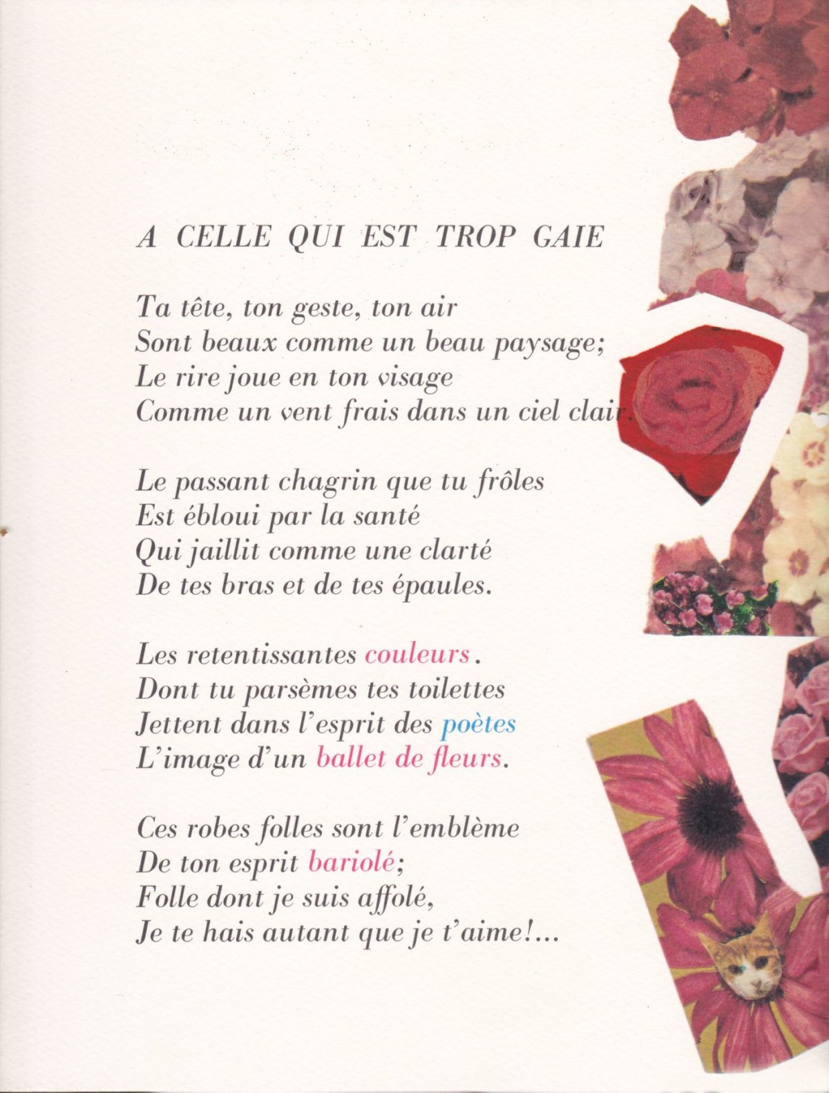 Pagina 49