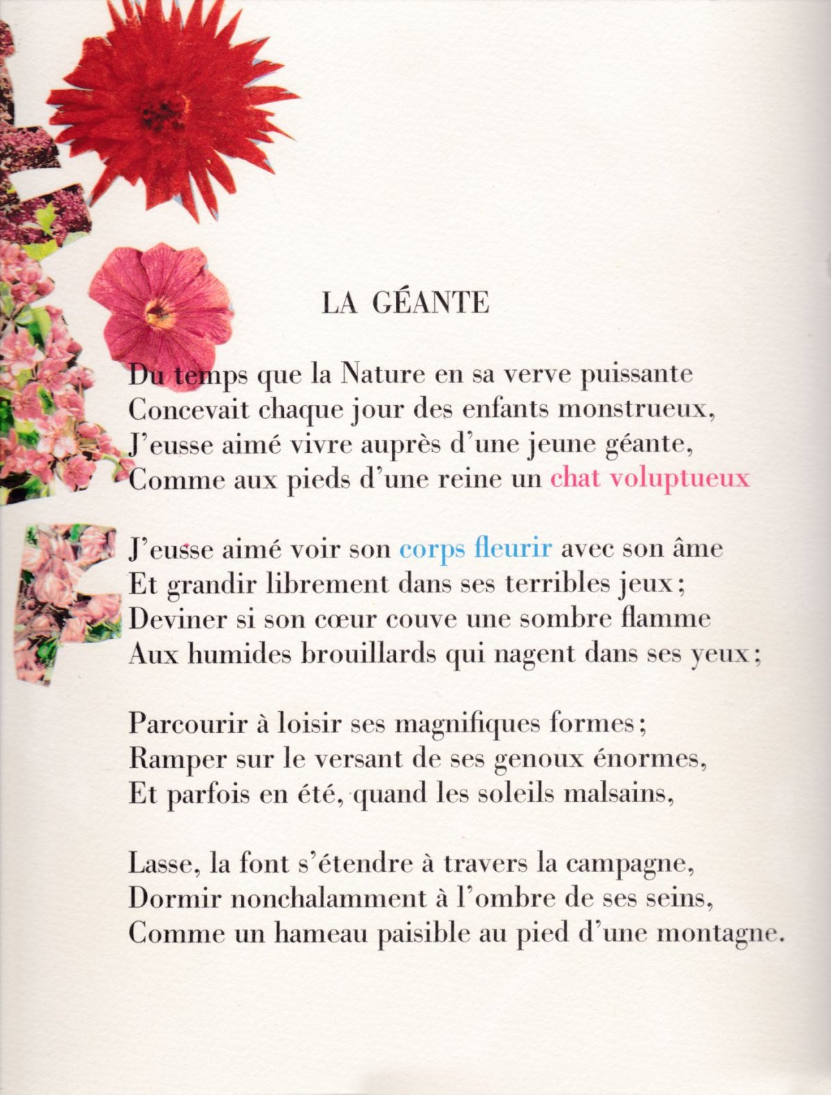 Pagina 51