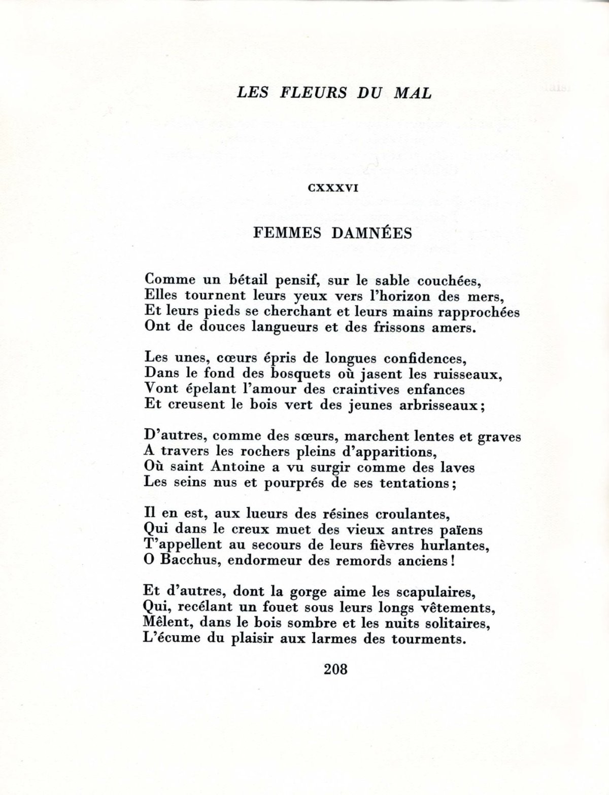 Pagina 28