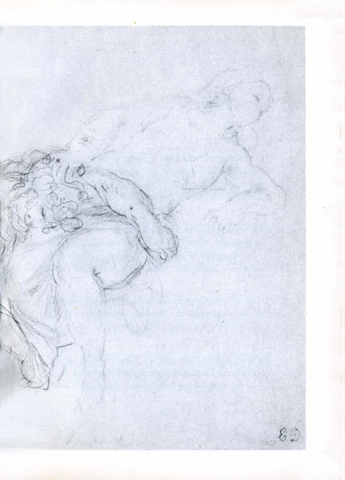 Pagina 49
