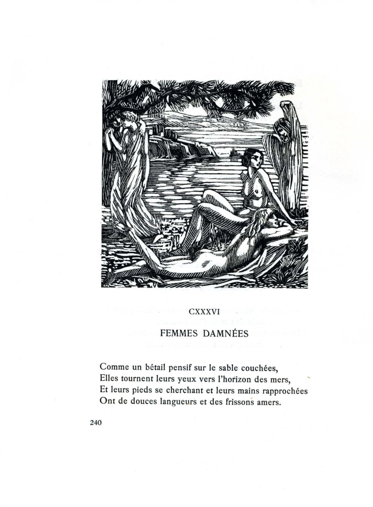 Pagina 40
