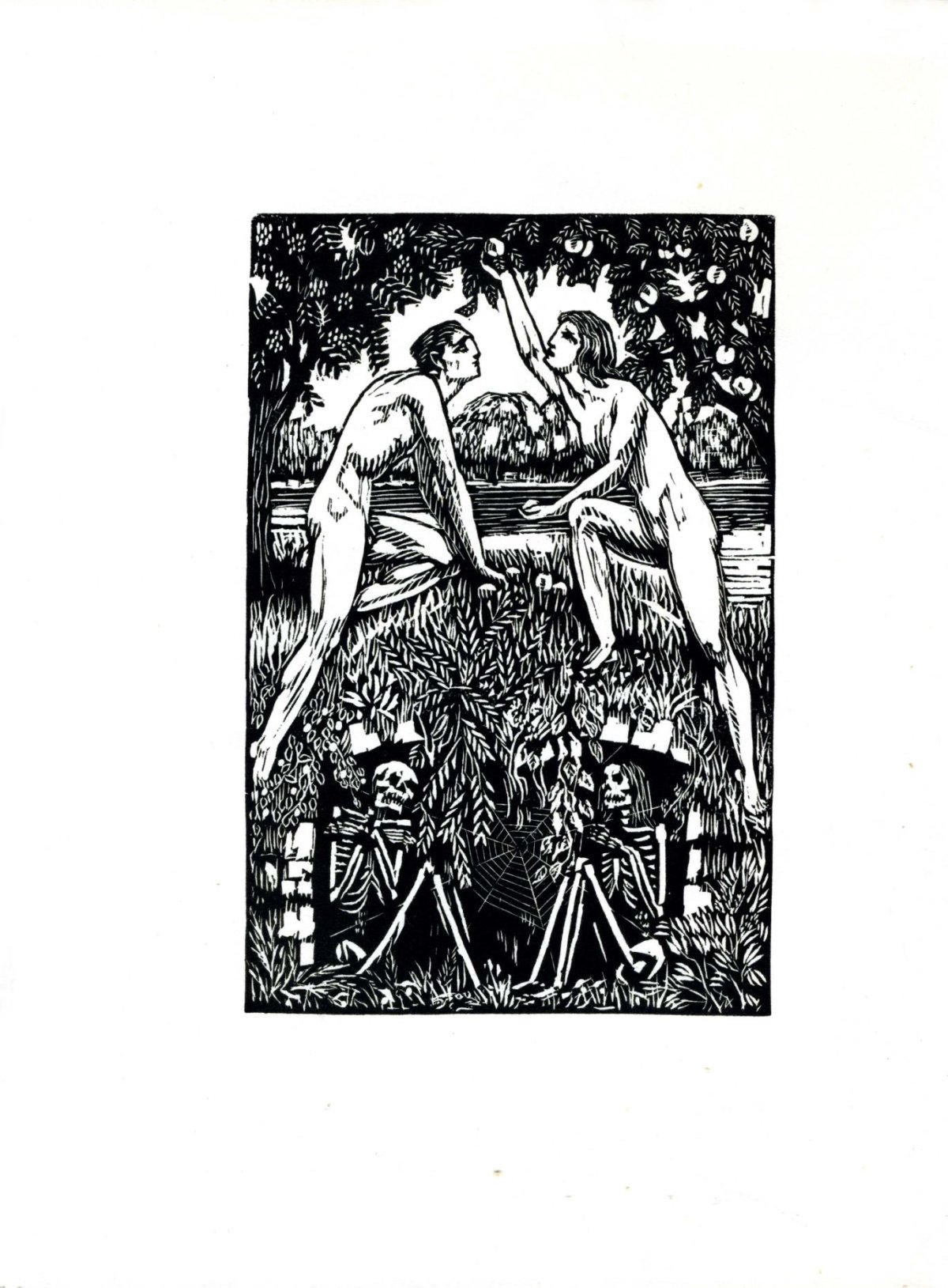 Pagina 46
