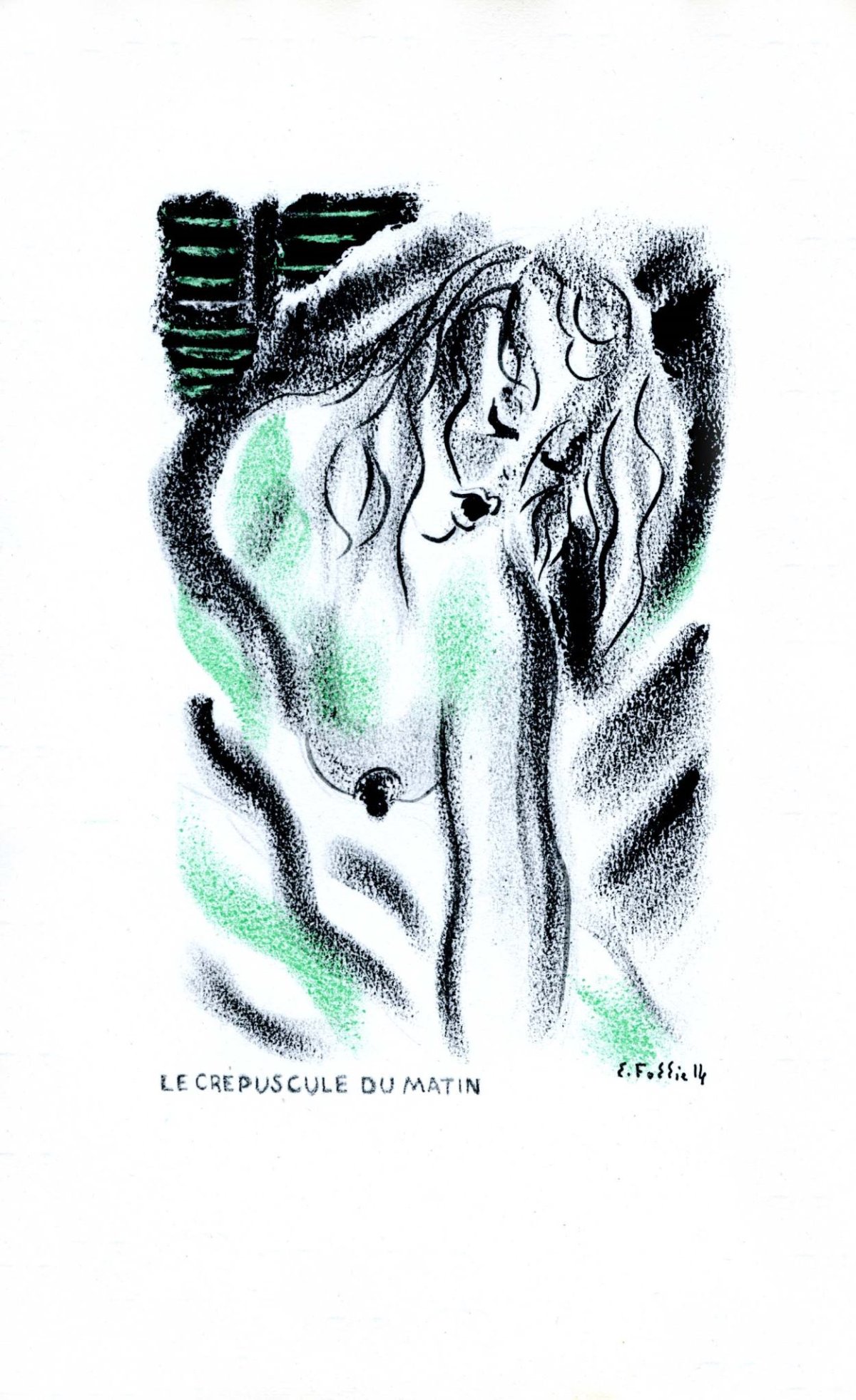 Pagina 16