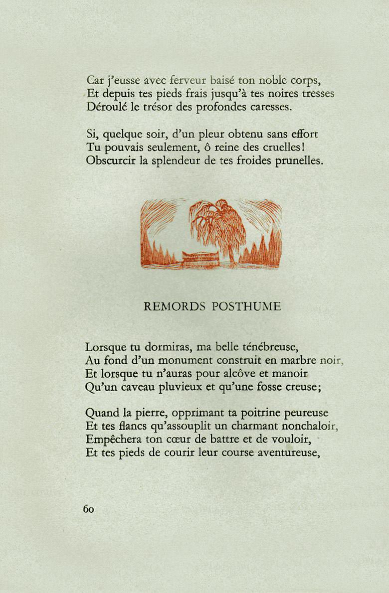 Pagina 29