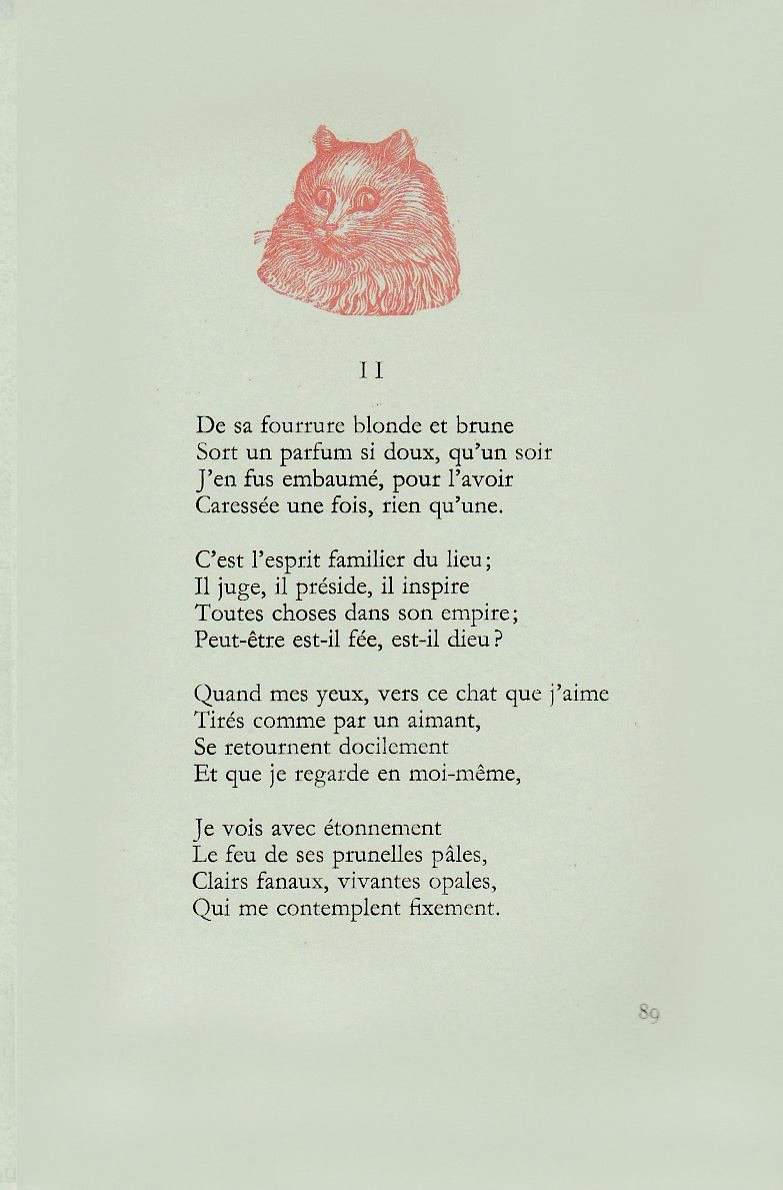 Pagina 48