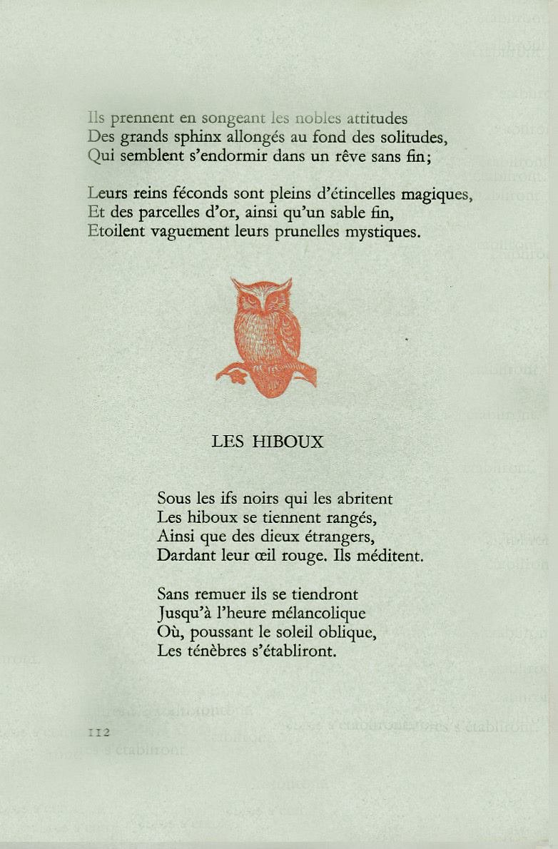 Pagina 55