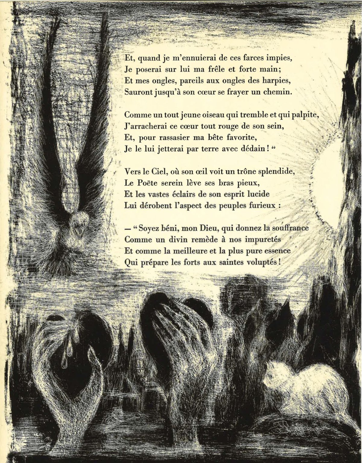 Pagina 12