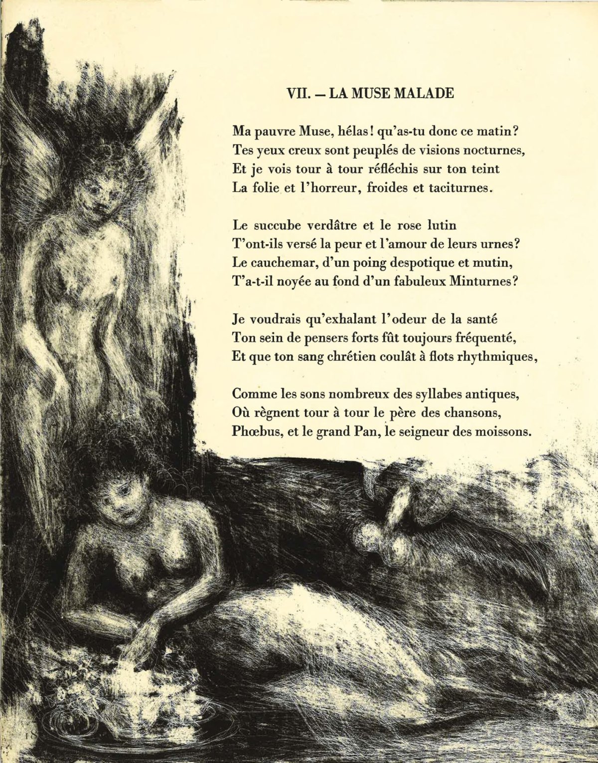 Pagina 24