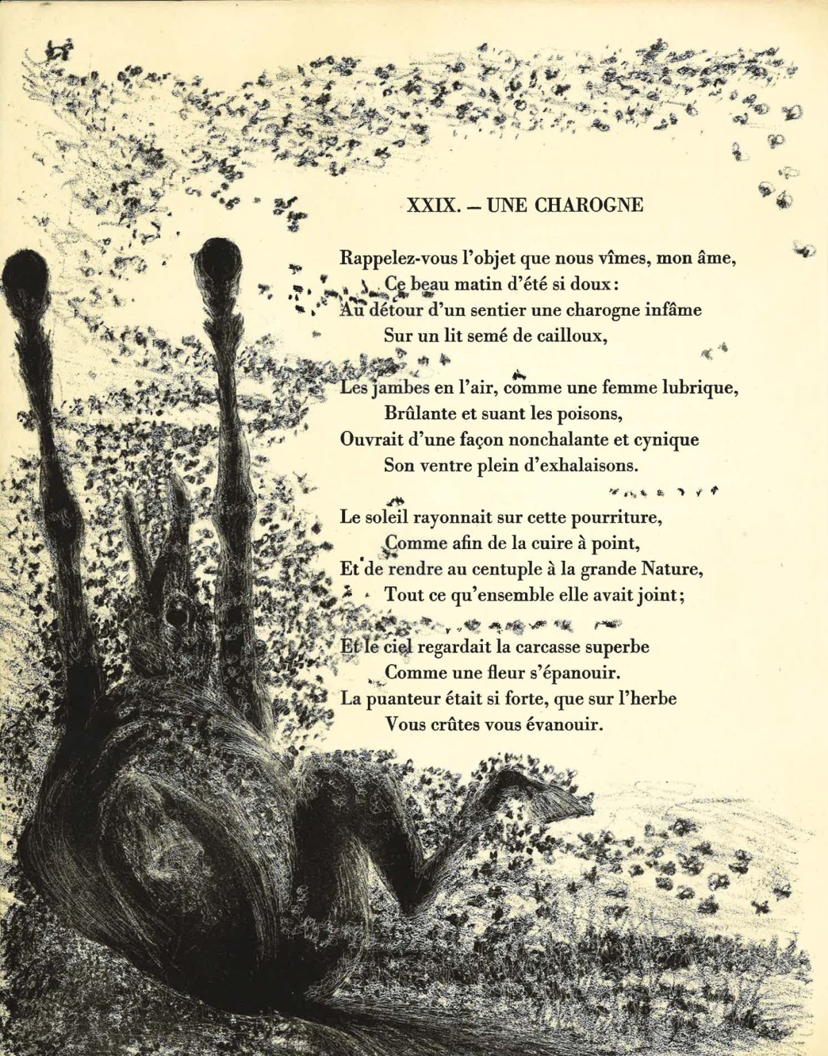 Pagina 54