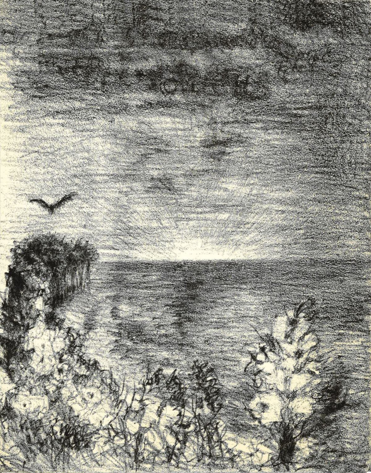 Pagina 85