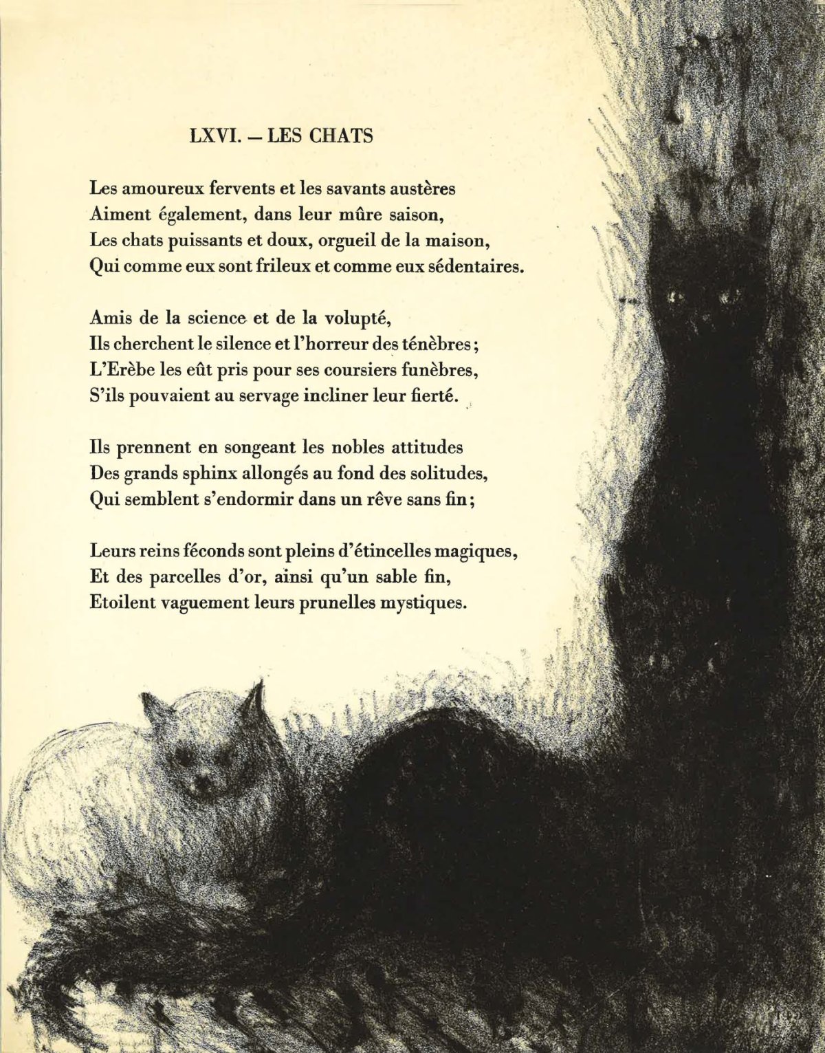 Pagina 121