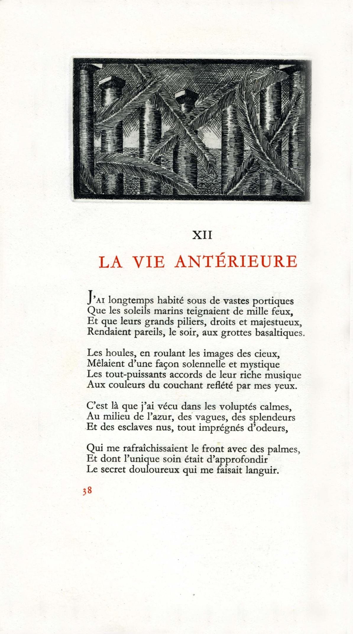 Pagina 8