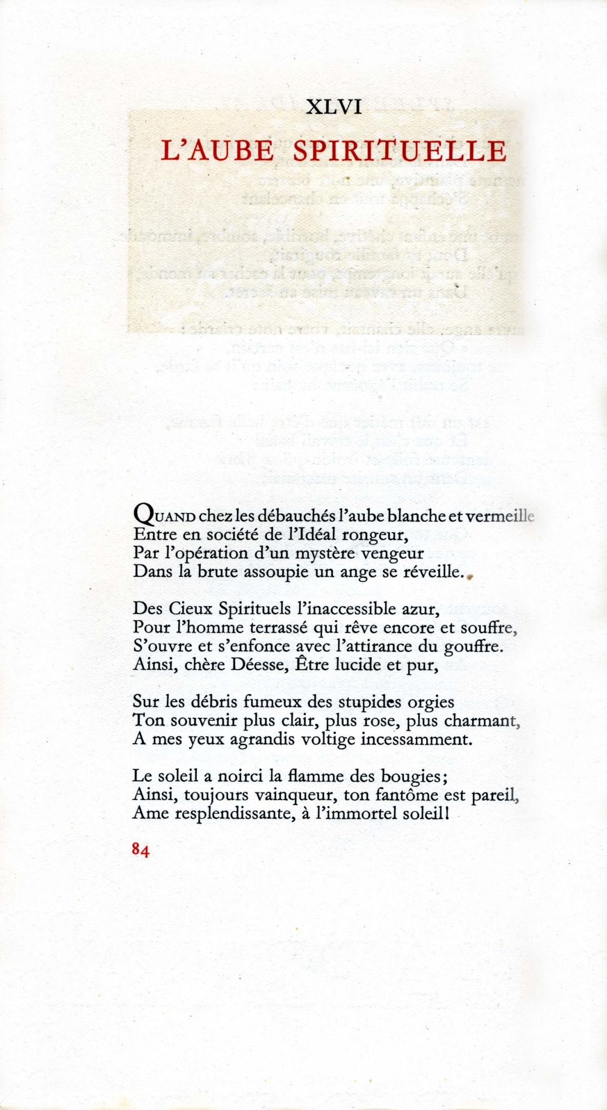 Pagina 16