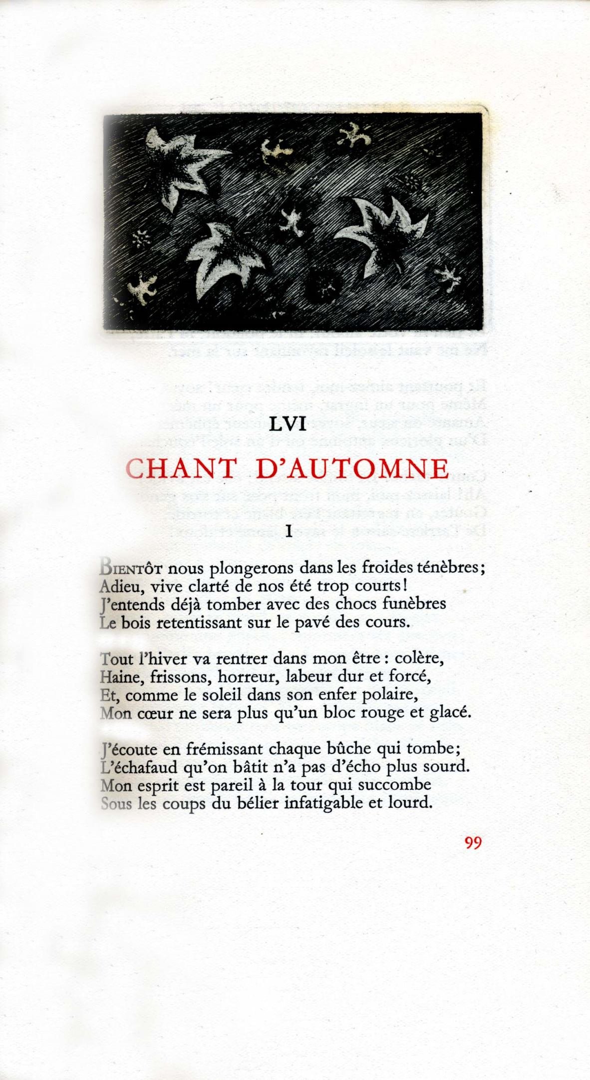 Pagina 19