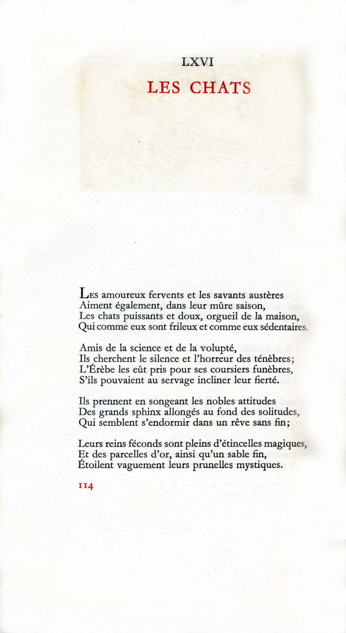 Pagina 20