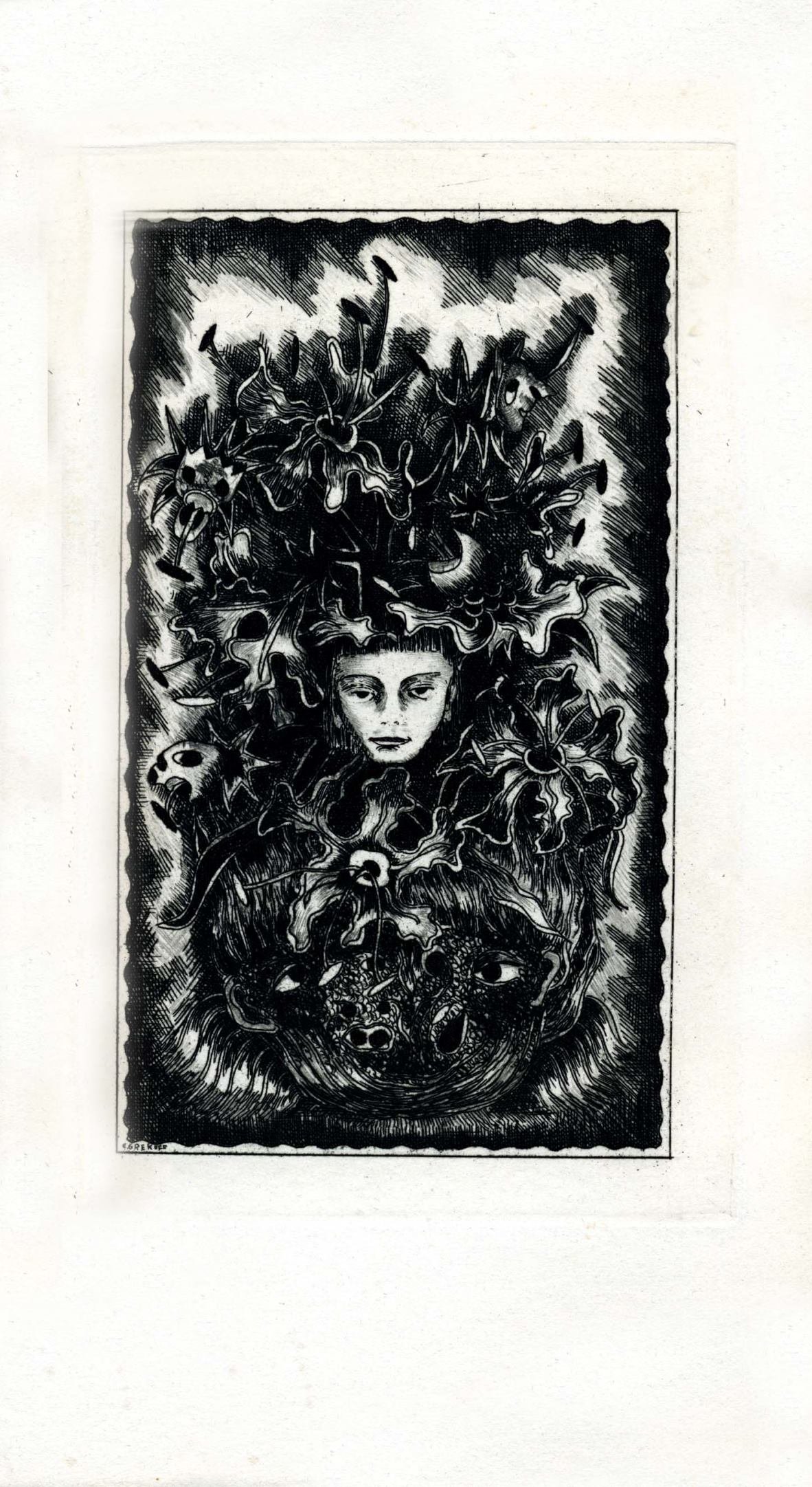 Pagina 43