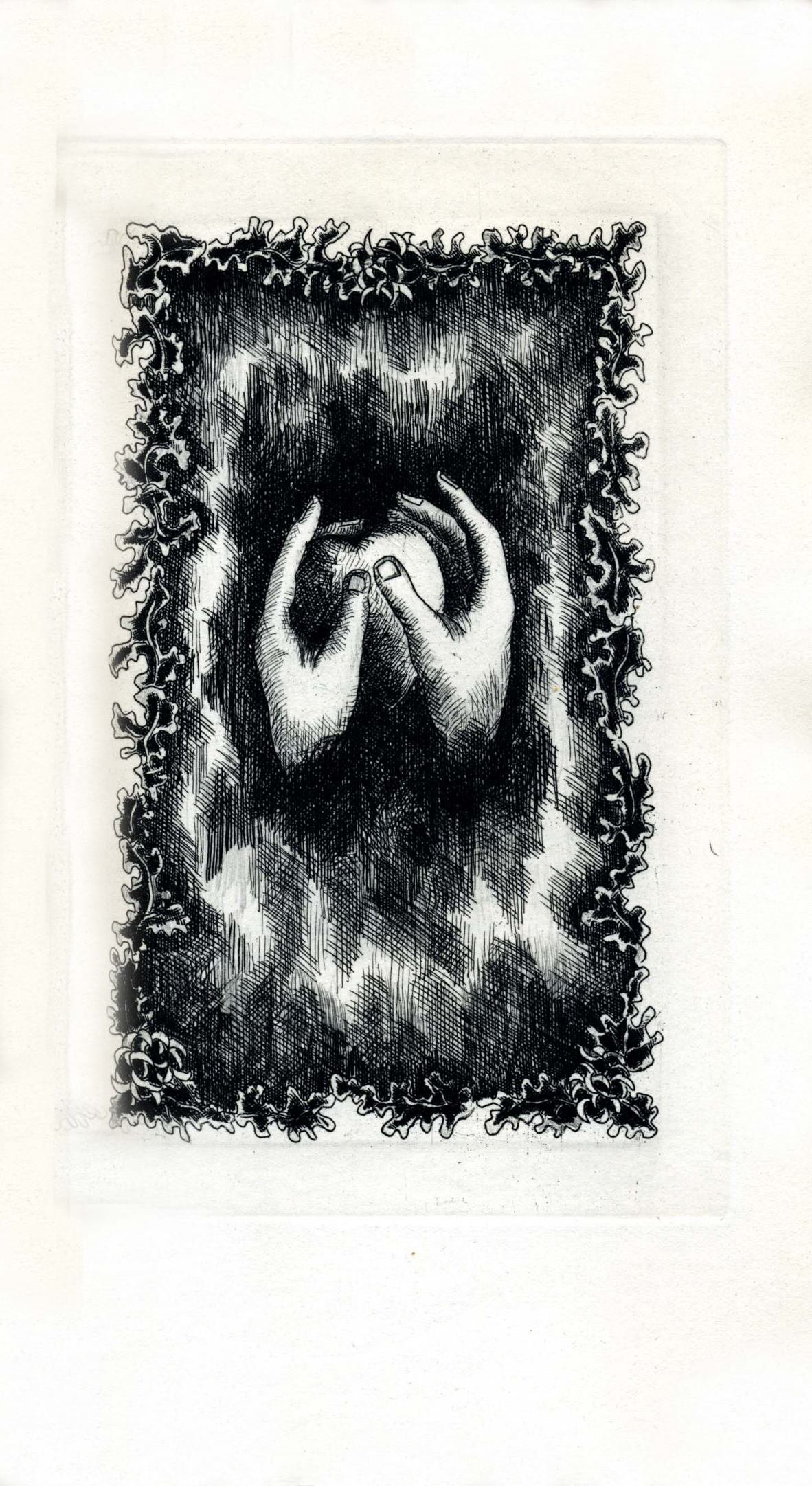 Pagina 51