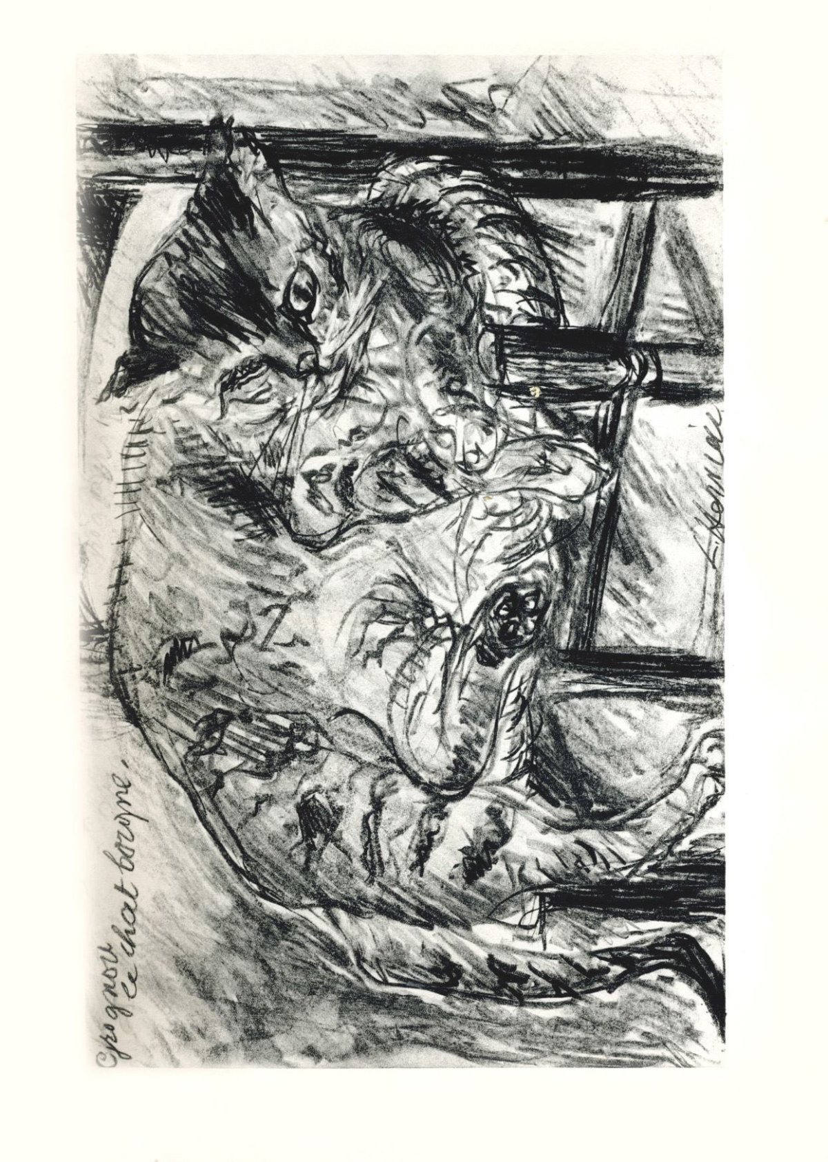 Pagina 47