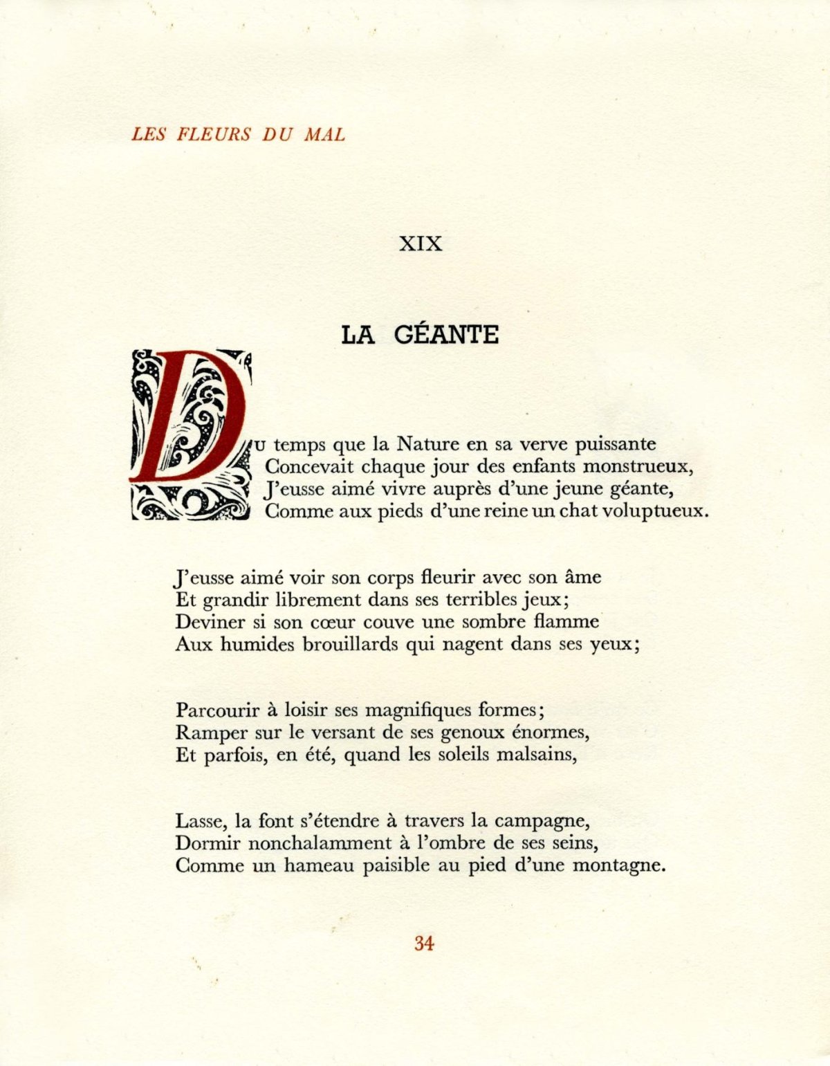 Pagina 8