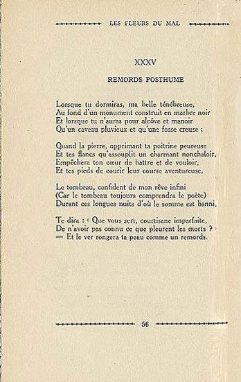 Pagina 6