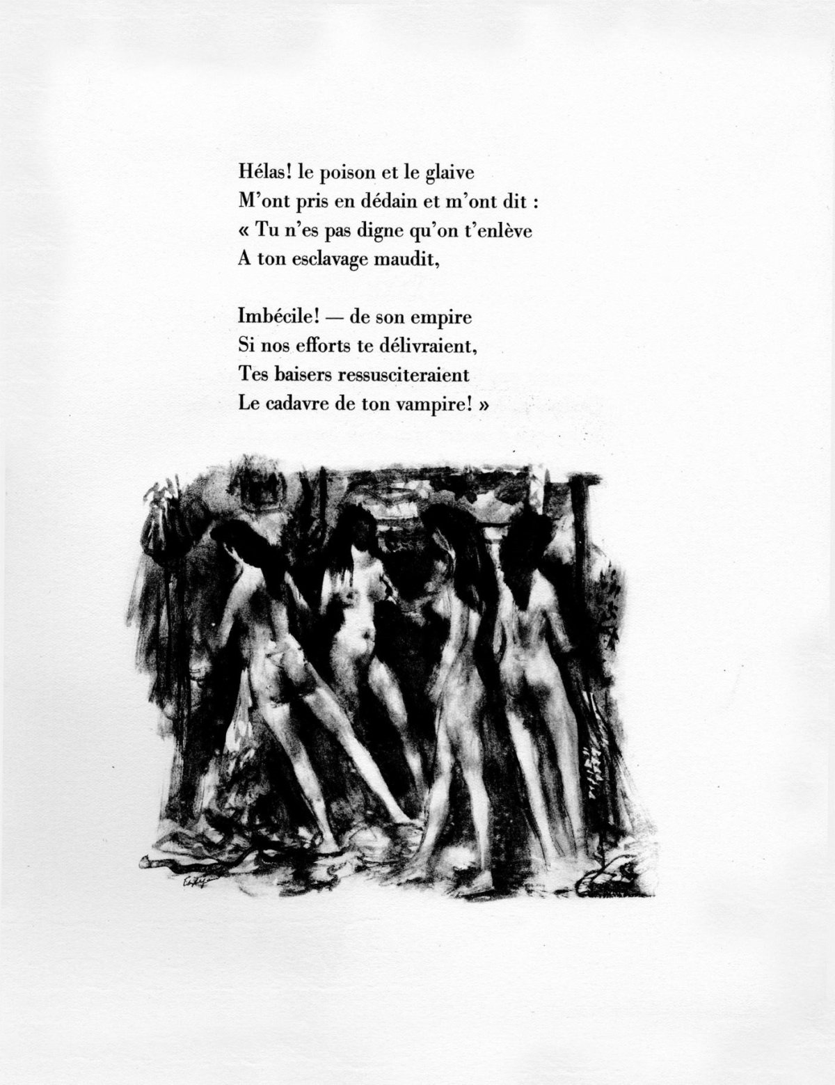 Pagina 41