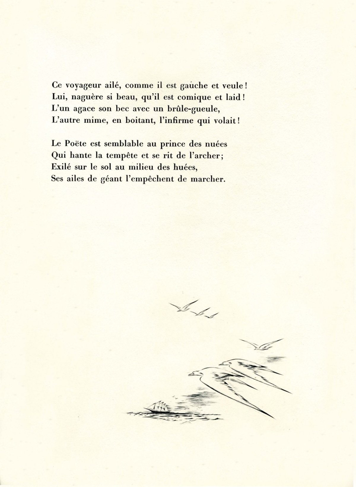 Pagina 14