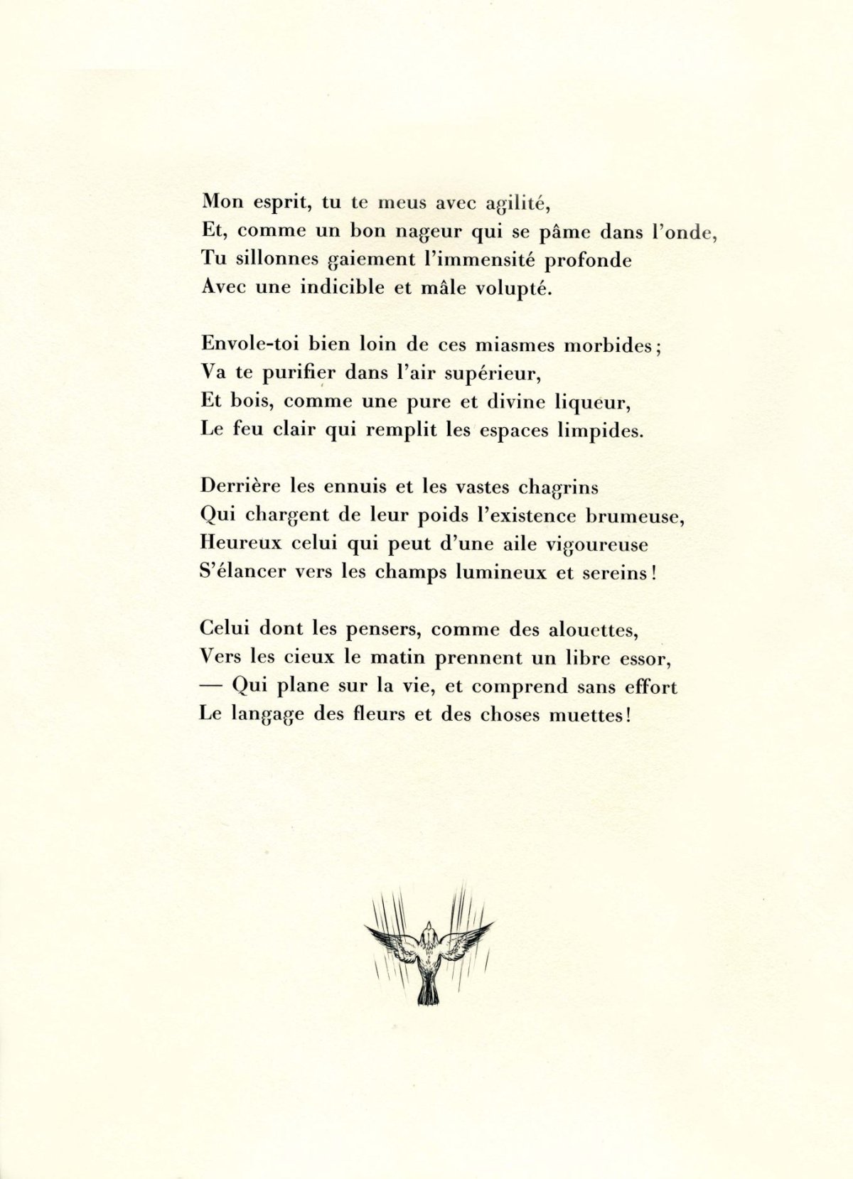 Pagina 16