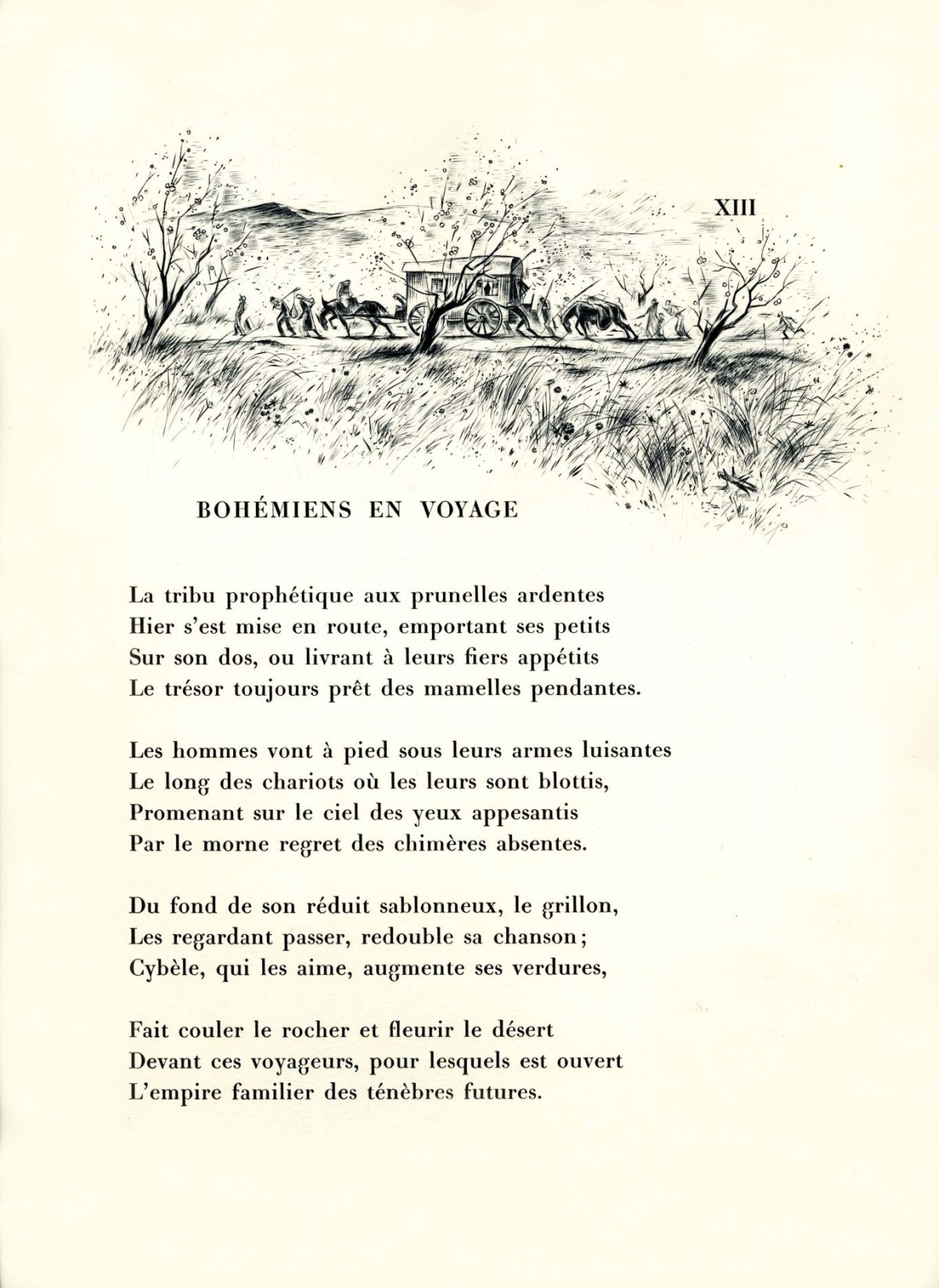 Pagina 29