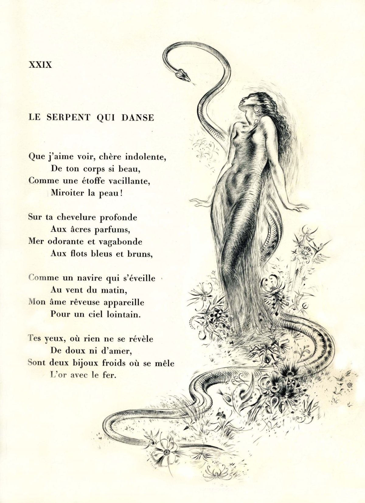 Pagina 51