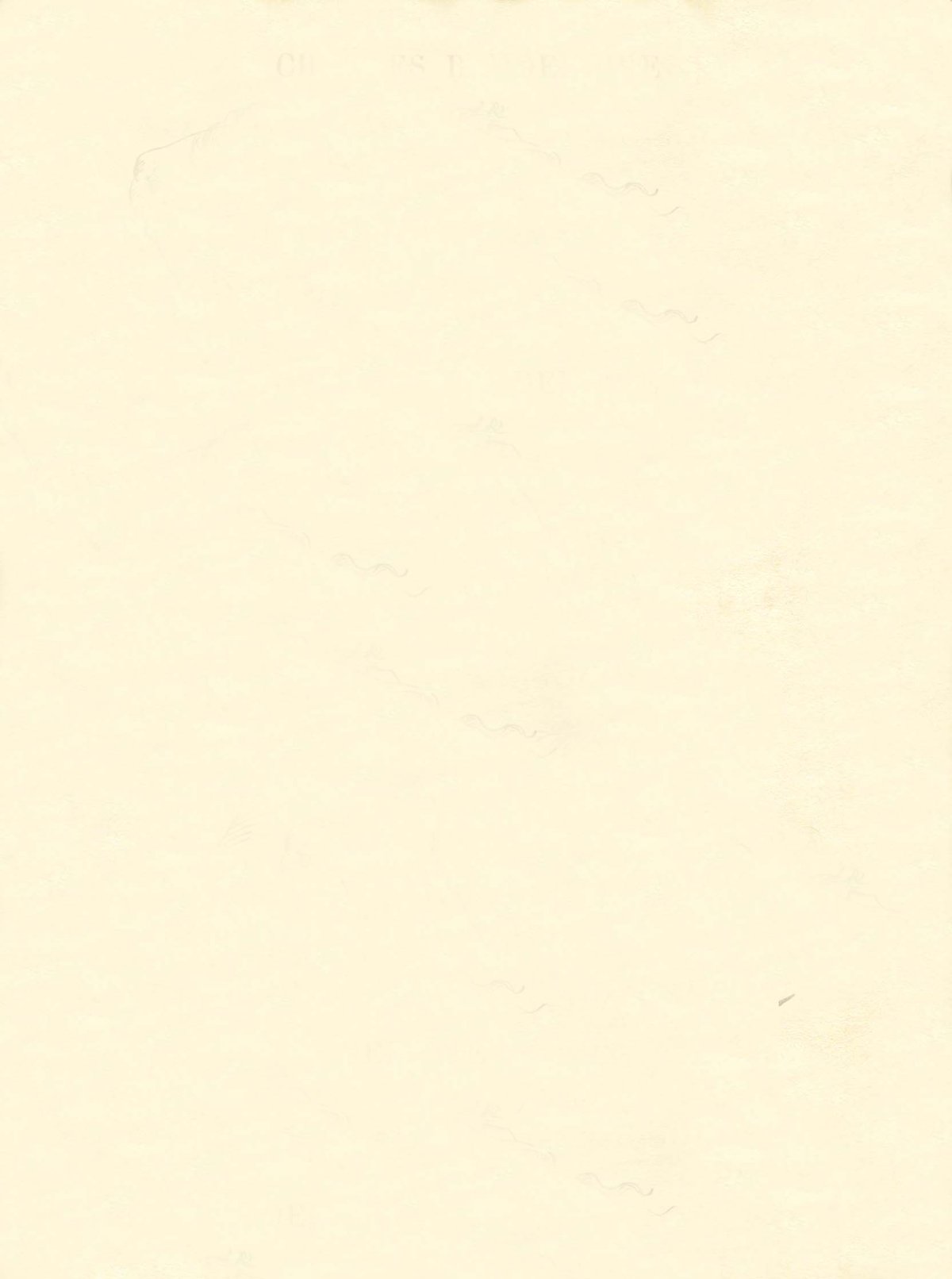 Pagina 22