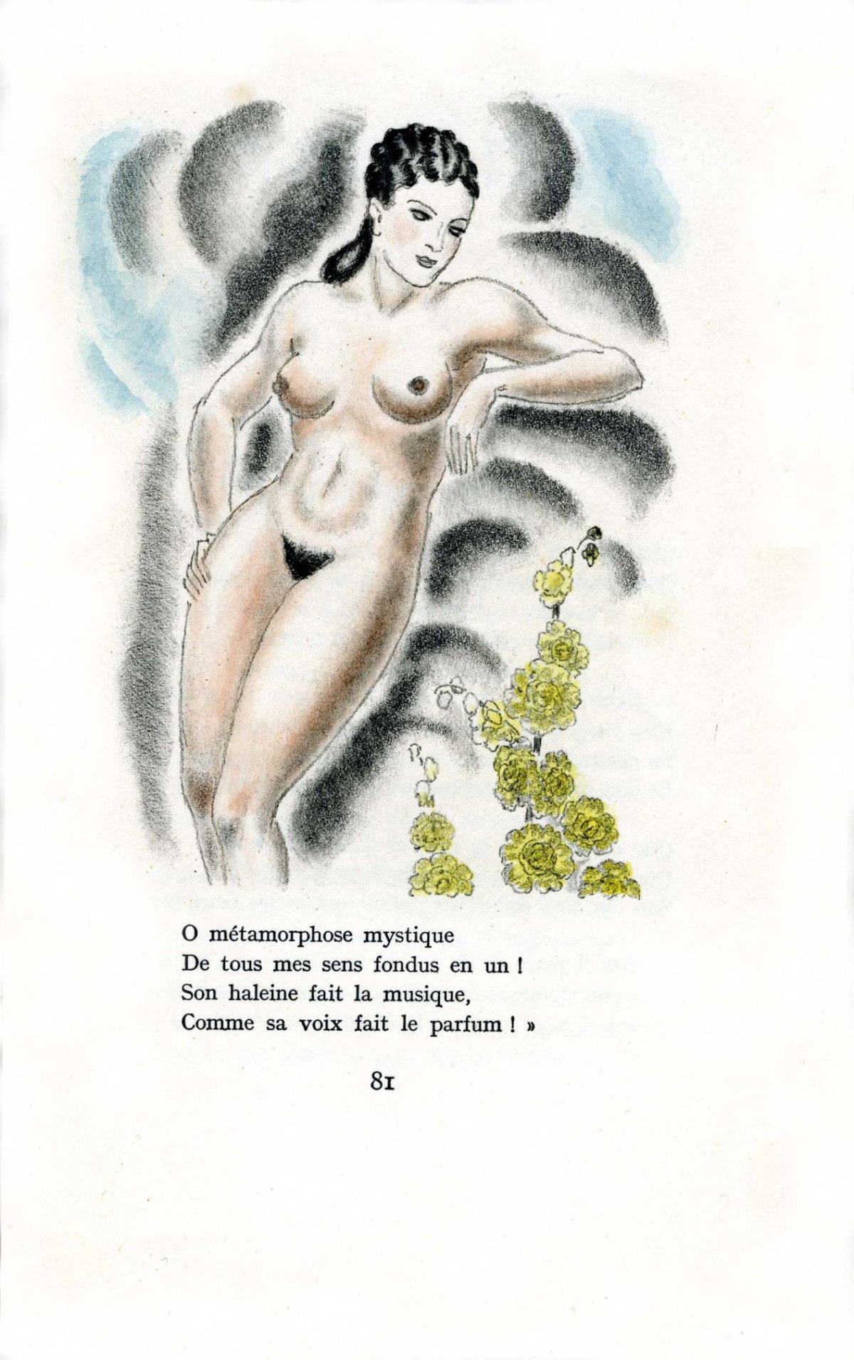 Pagina 17