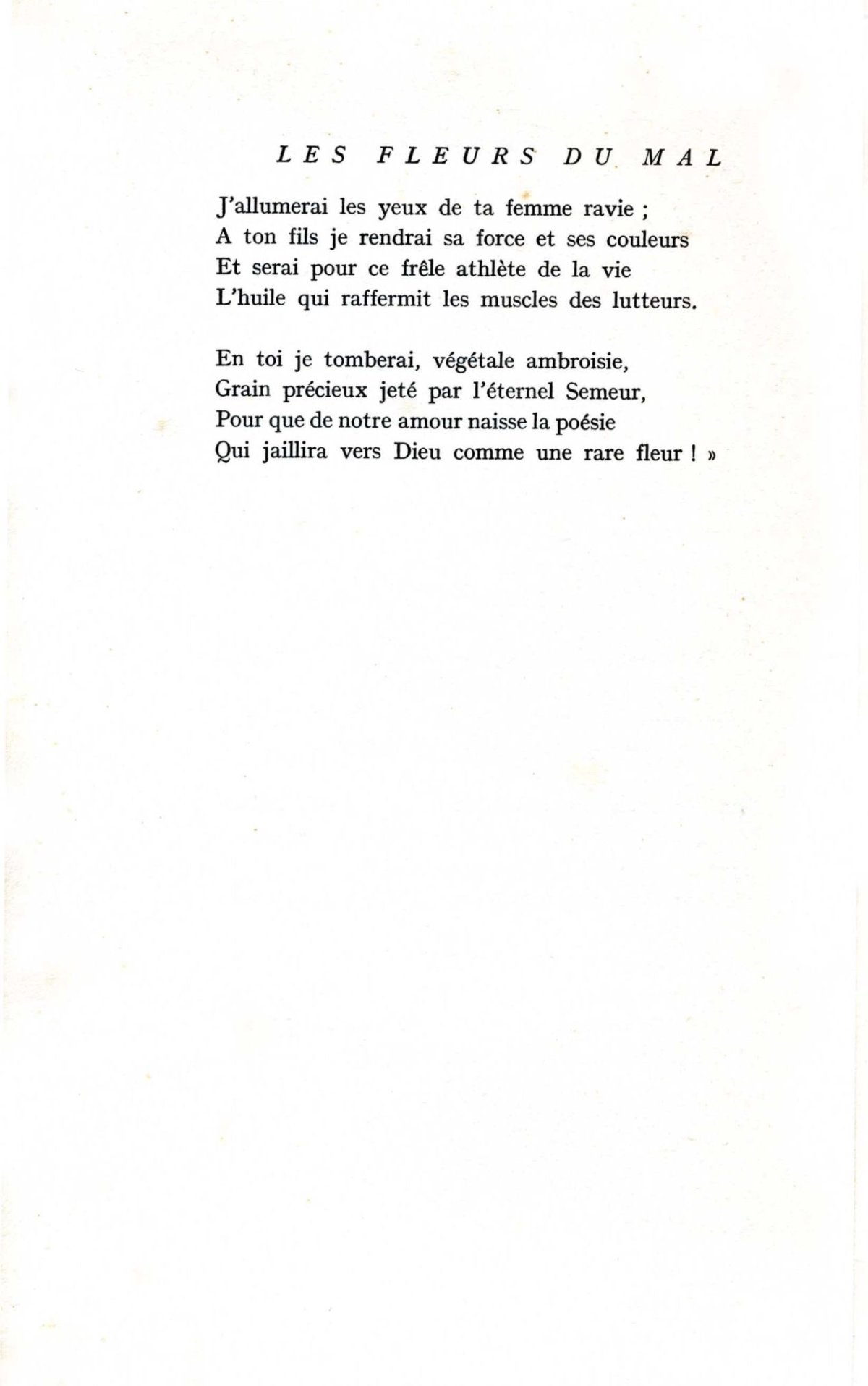 Pagina 32