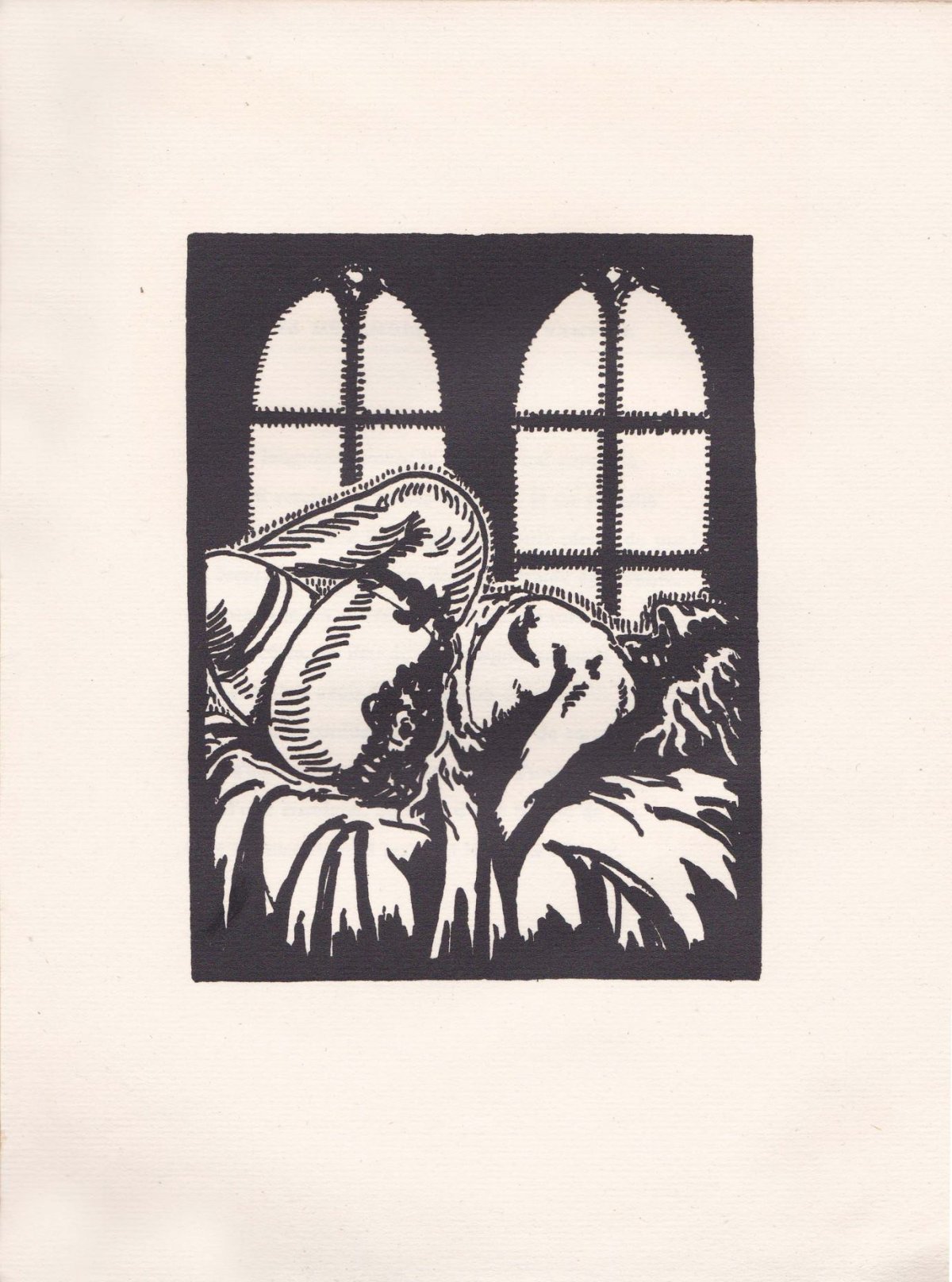 Pagina 41