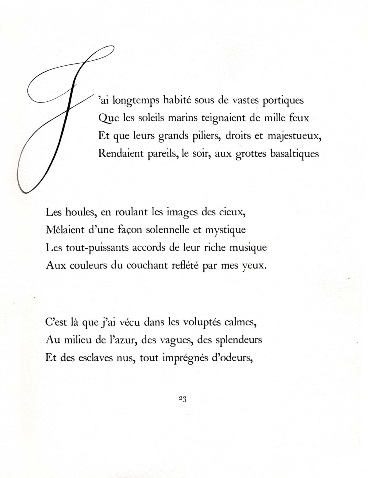 Pagina 7