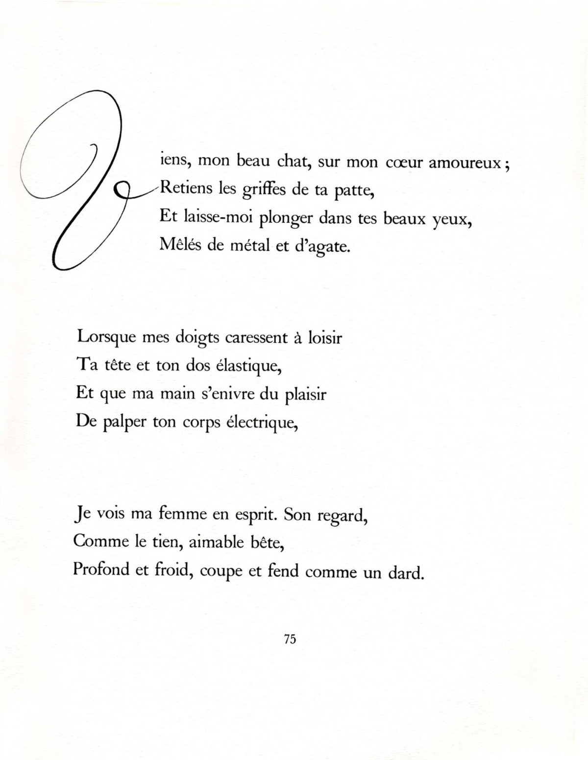 Pagina 31