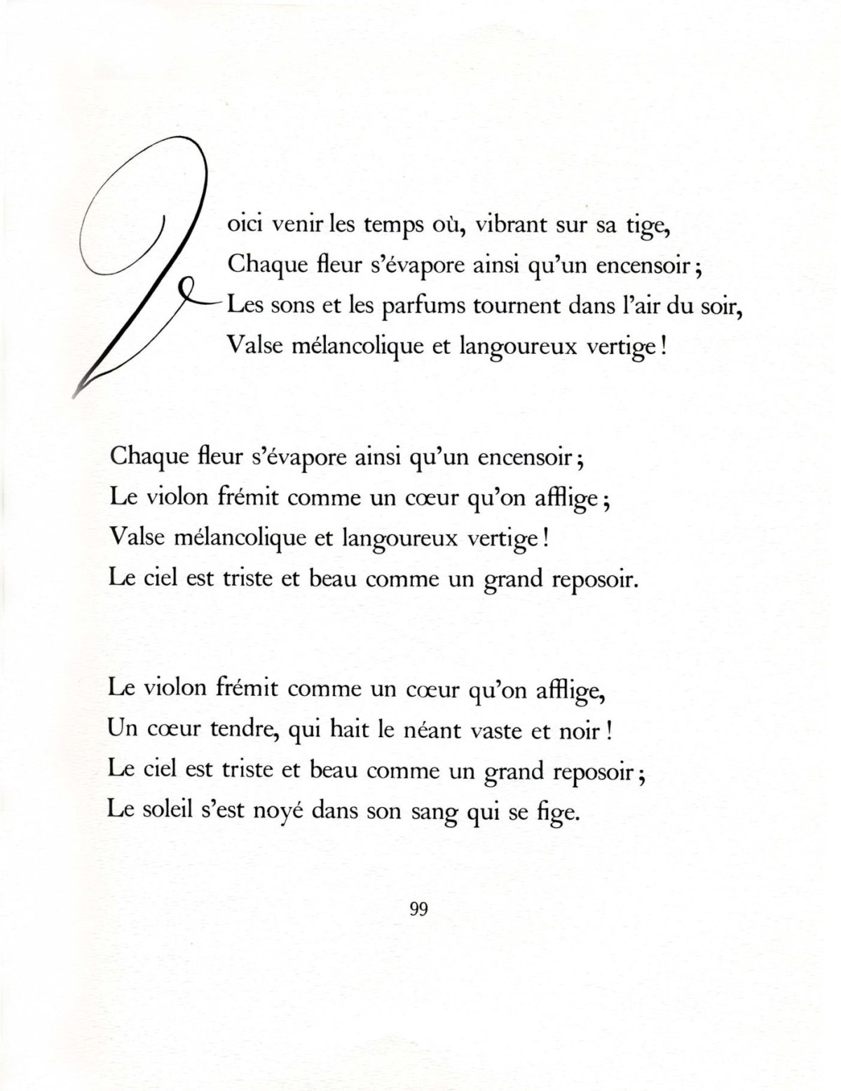 Pagina 41