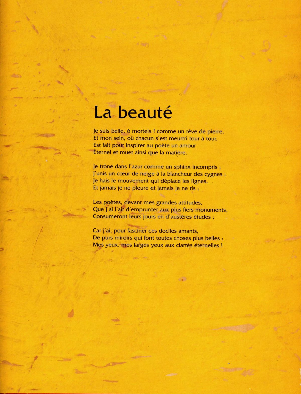 Pagina 15