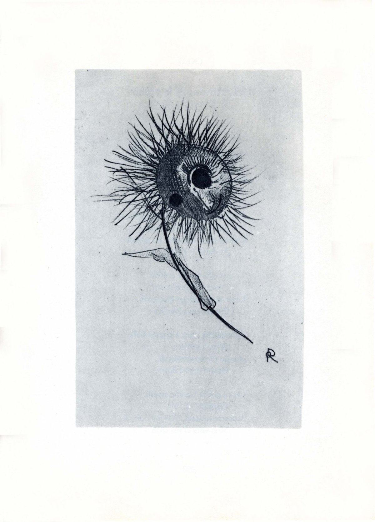 Pagina 19