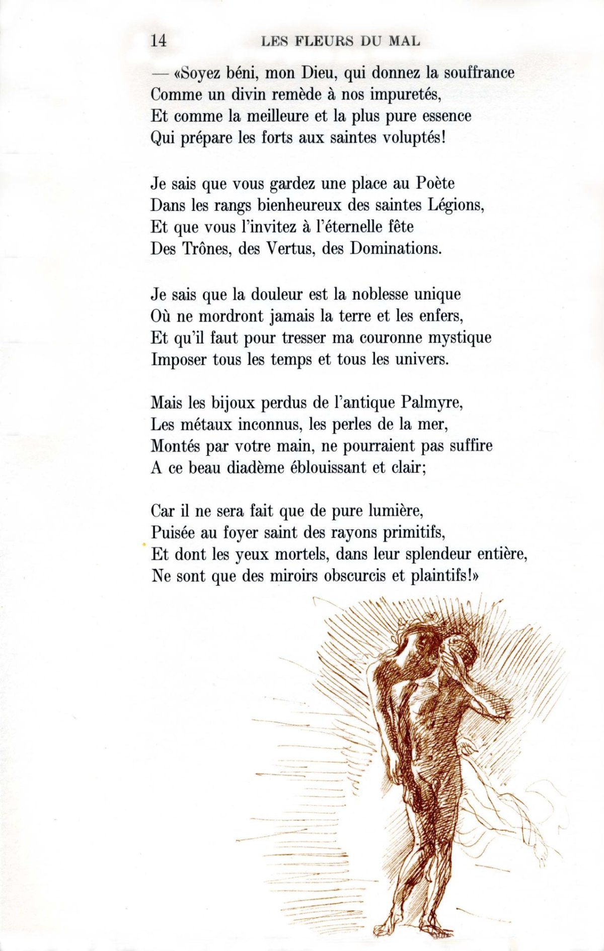 Pagina 6