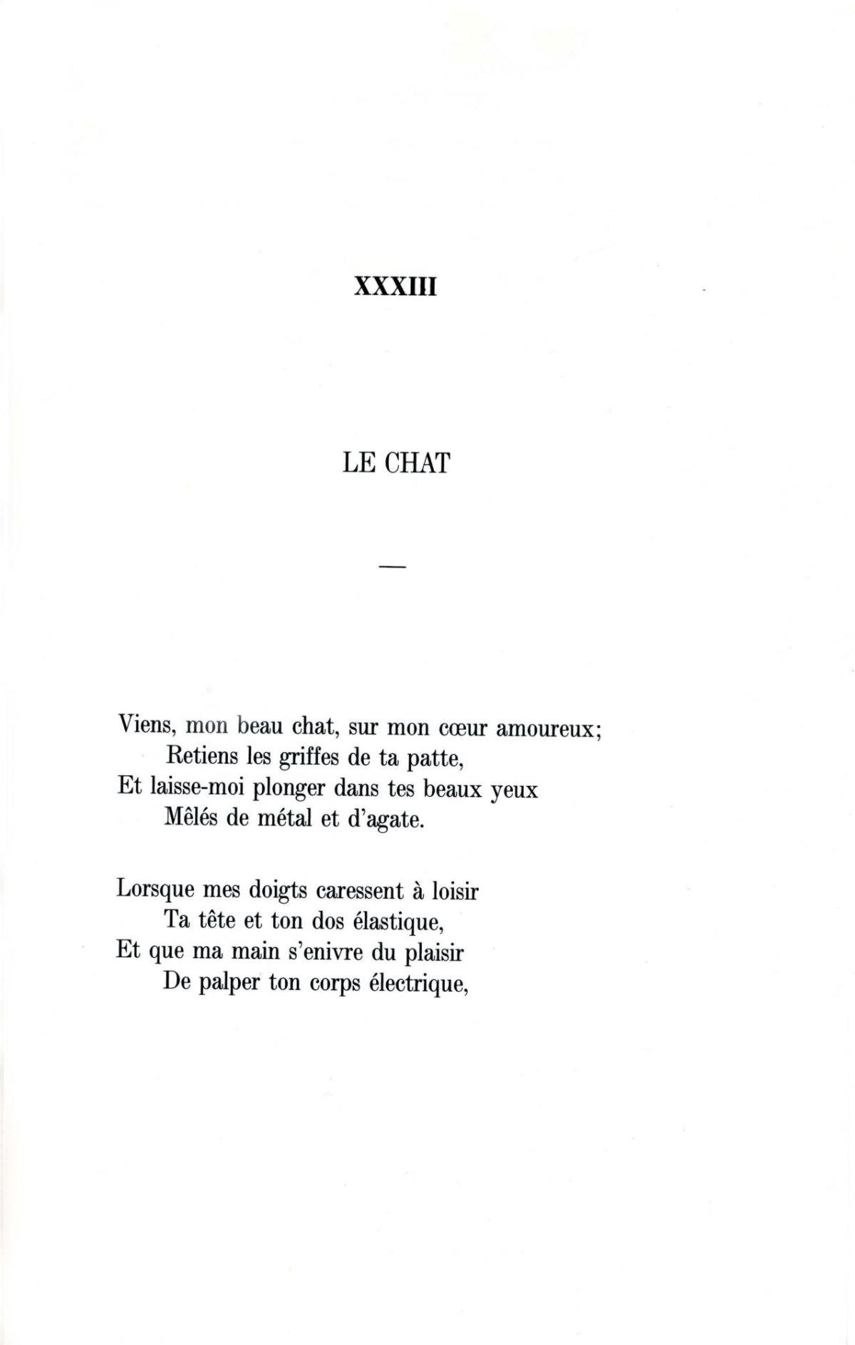 Pagina 19