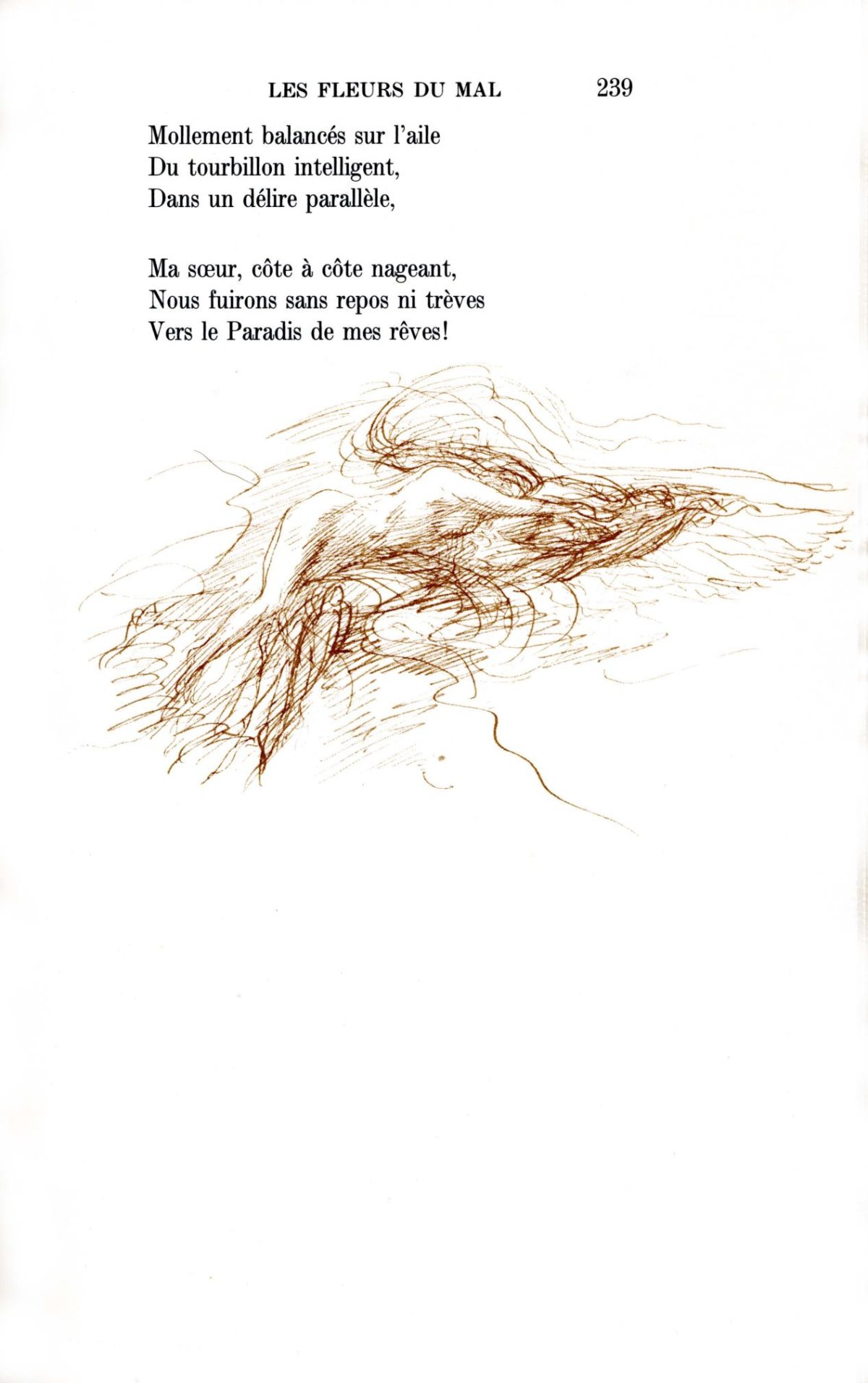 Pagina 49