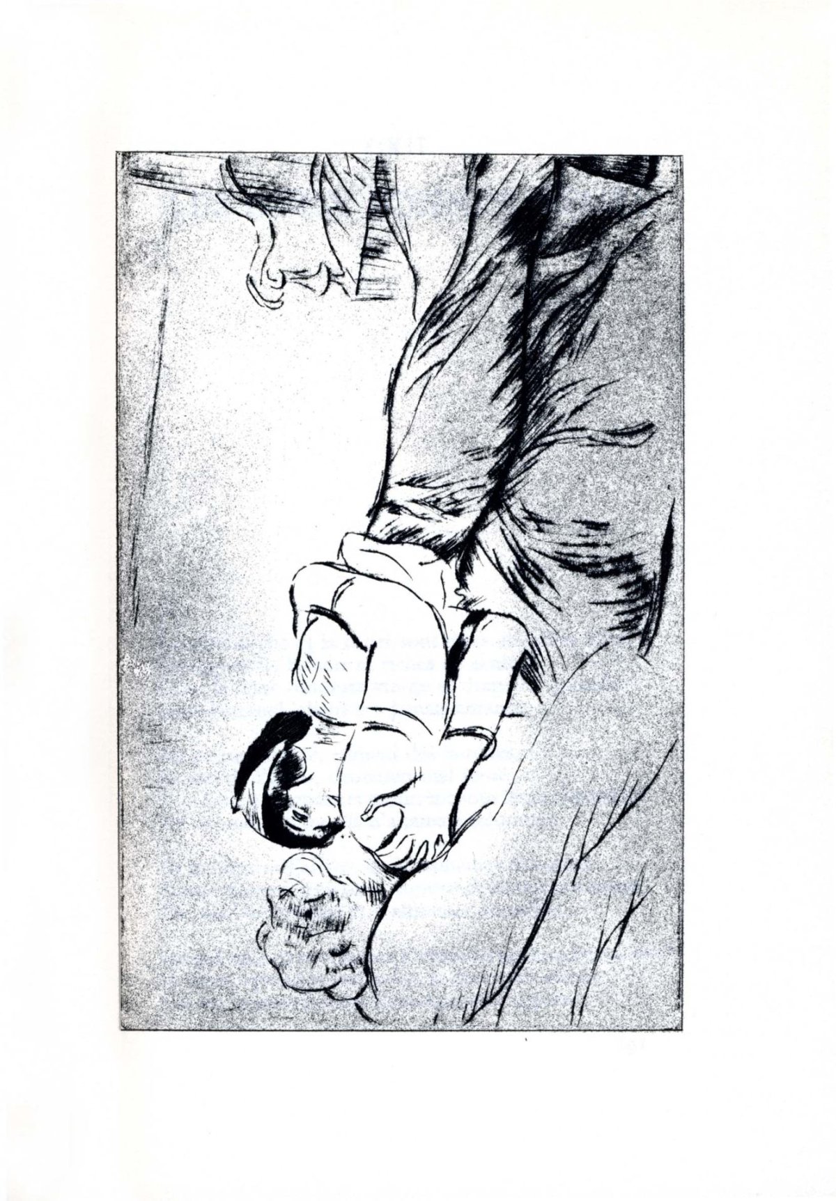 Pagina 45