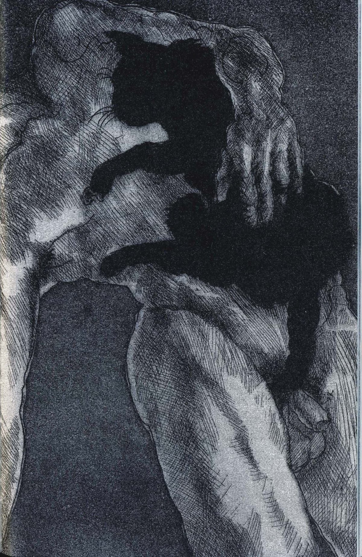 Pagina 19