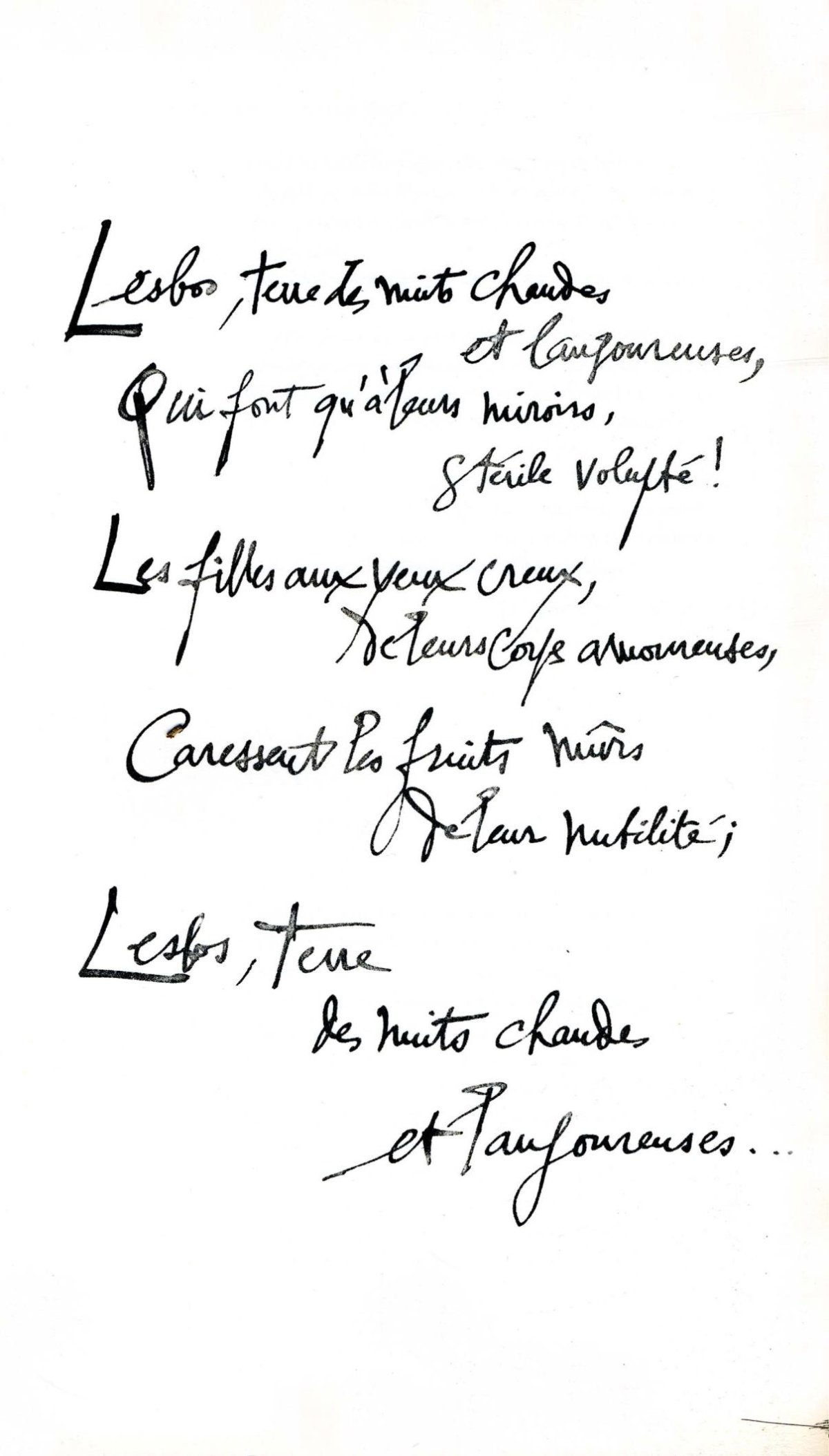 Pagina 16