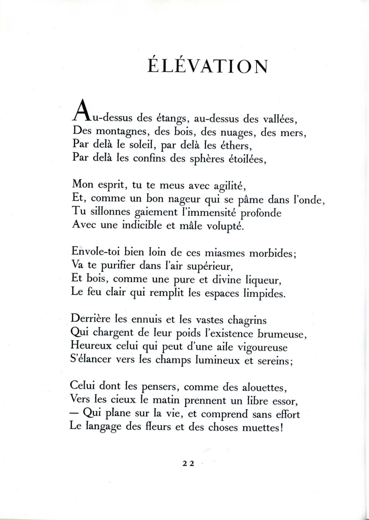 Pagina 6